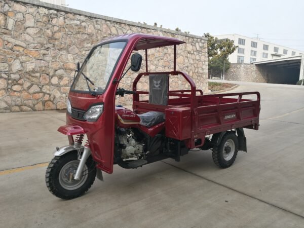 Electric 3-Wheel Motorcycle - Image 2