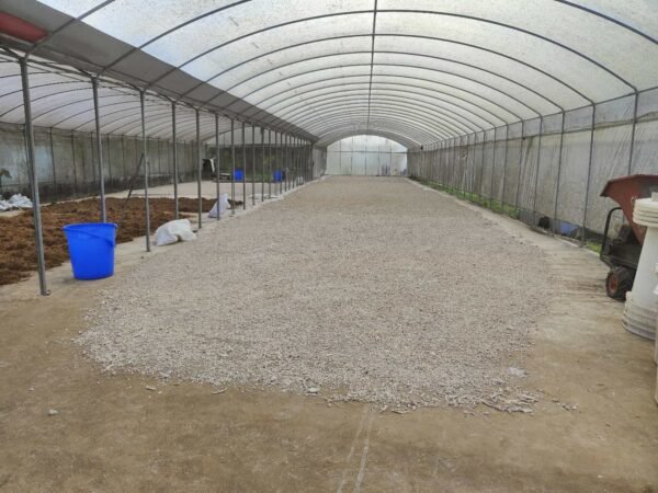 Drying Tunnel House