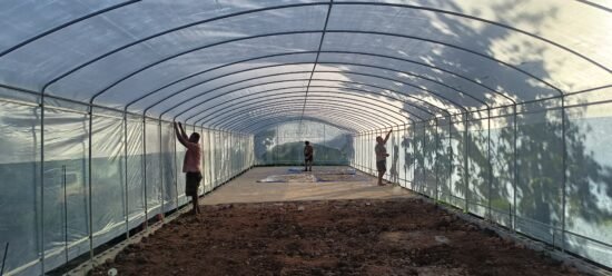 Drying Tunnel House