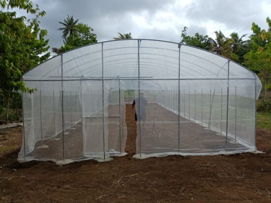 Vegetable Tunnel House