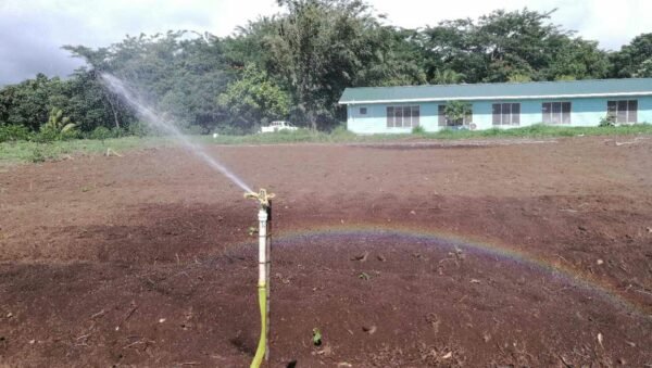 Auto Springkling Irrigation